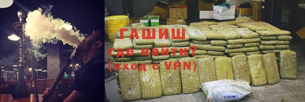индика Арсеньев
