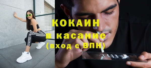 индика Арсеньев
