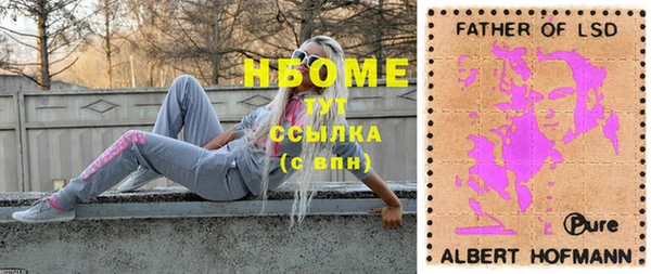 индика Арсеньев