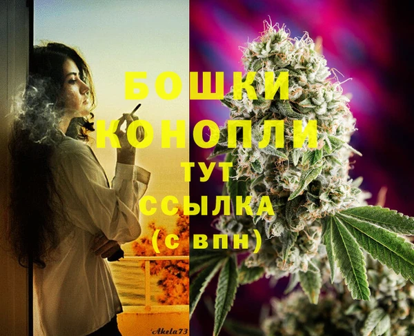 индика Арсеньев