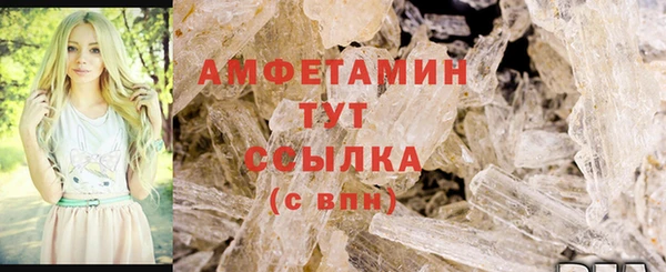 индика Арсеньев