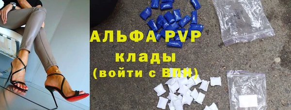 индика Арсеньев