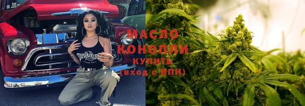 индика Арсеньев