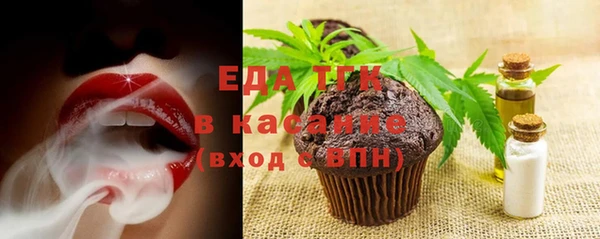 индика Арсеньев