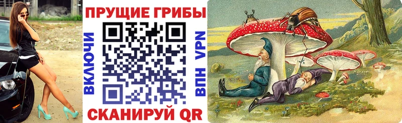 Купить закладки  Лаишево  Псилоцибиновые грибы прущие грибы 
